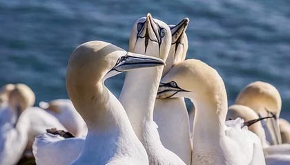 平阳最新公积金卡提取现金方法app方法分析(最方便真实的平阳公积金卡怎样从手机里取出来?方法)